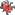 mite